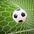 football-in-the-goal-net-100152347